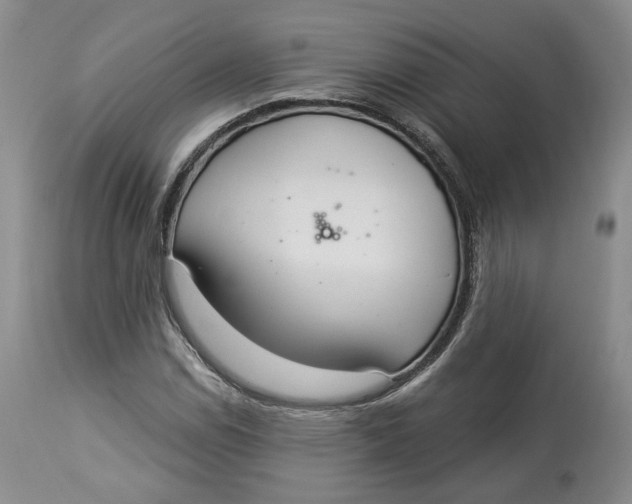 X0000114021114200910231831