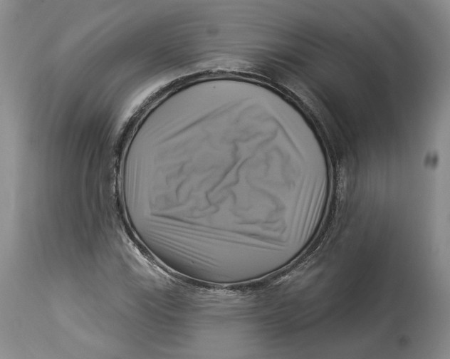 X0000114021115200910231831