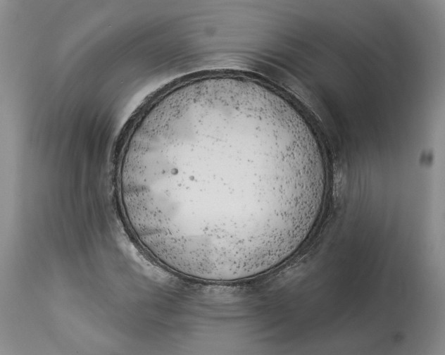 X0000114021116200910231831