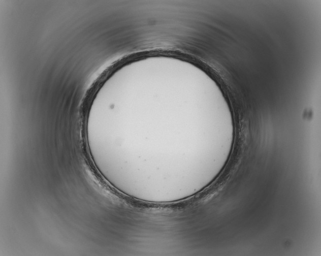 X0000114021118200910231831