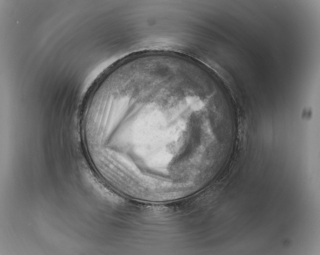 X0000114021120200910231831