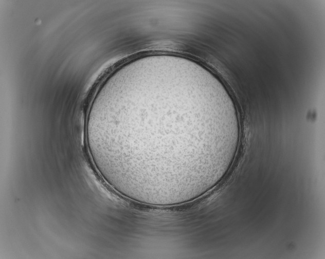 X0000114021123200910231831