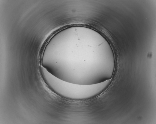 X0000114021124200910231831