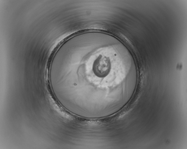 X0000114021125200910231831