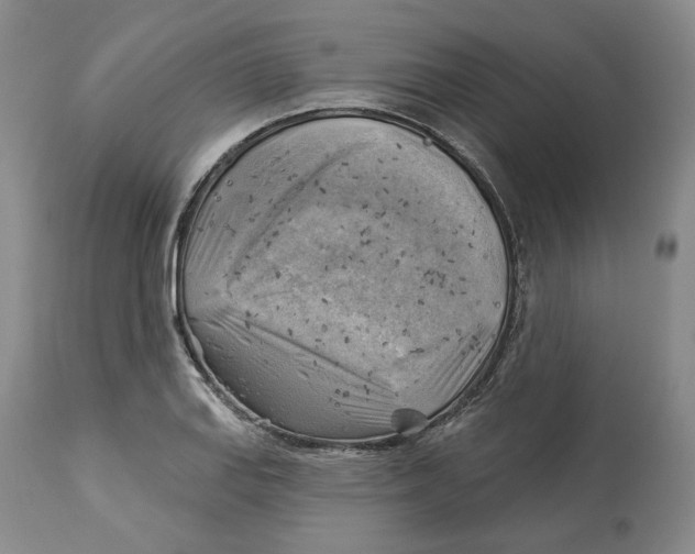 X0000114021127200910231831