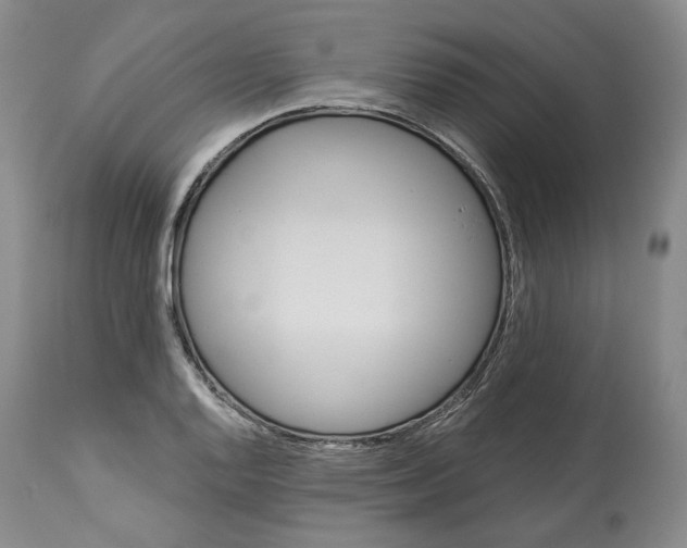 X0000114021128200910231831