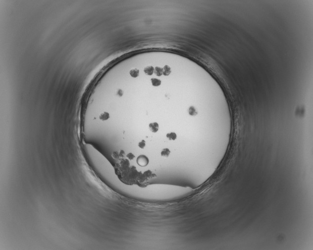 X0000114021132200910231831