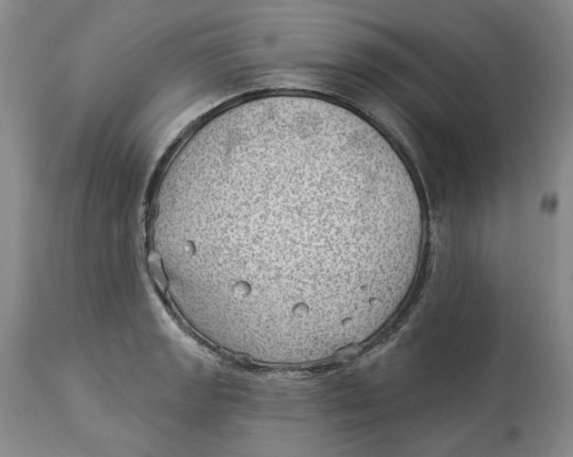 X0000114021133200910231831