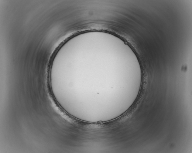 X0000114021134200910231831