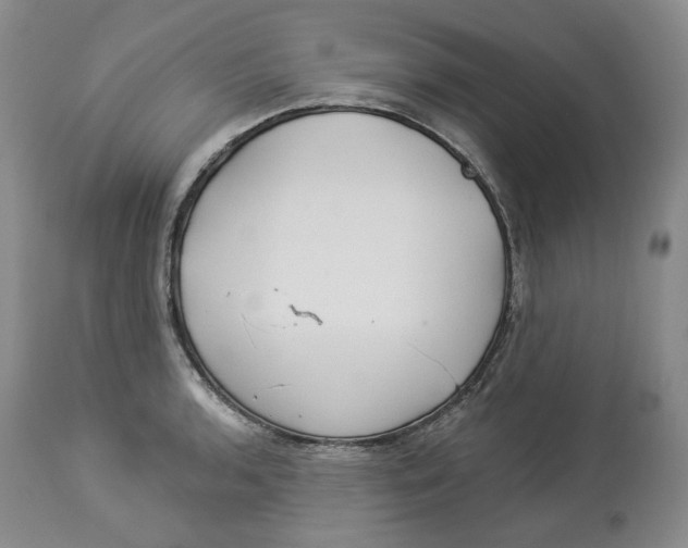 X0000114021136200910231831