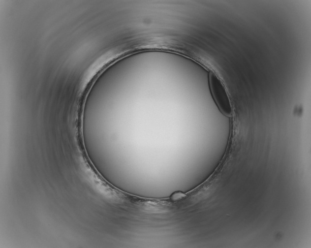 X0000114021138200910231831