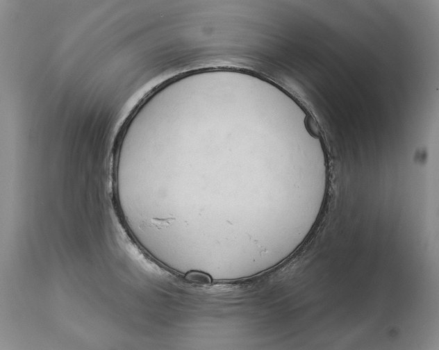 X0000114021140200910231831