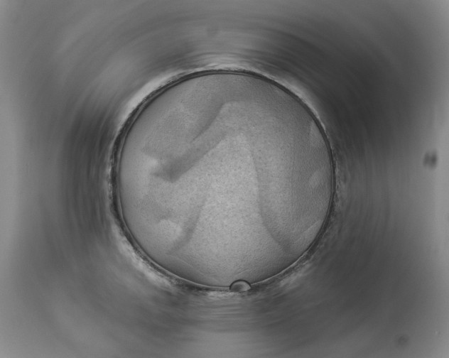 X0000114021142200910231831