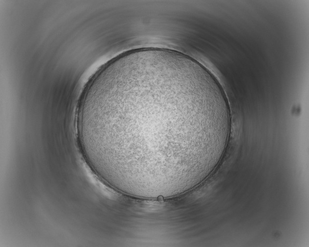 X0000114021144200910231831