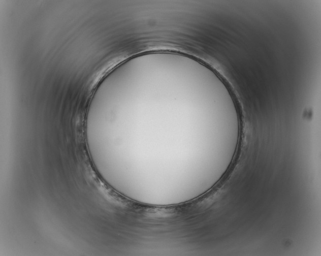 X0000114021145200910231831