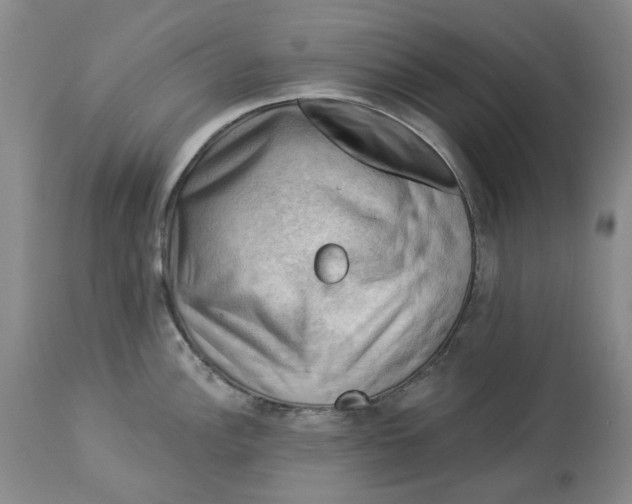 X0000114021148200910231831