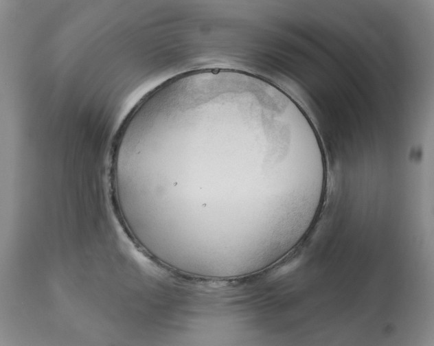 X0000114021149200910231831