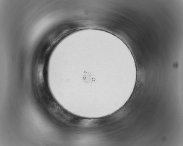 X0000114021150200910231831