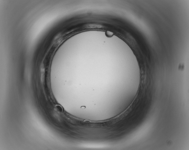 X0000114021151200910231831