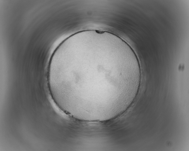 X0000114021152200910231831