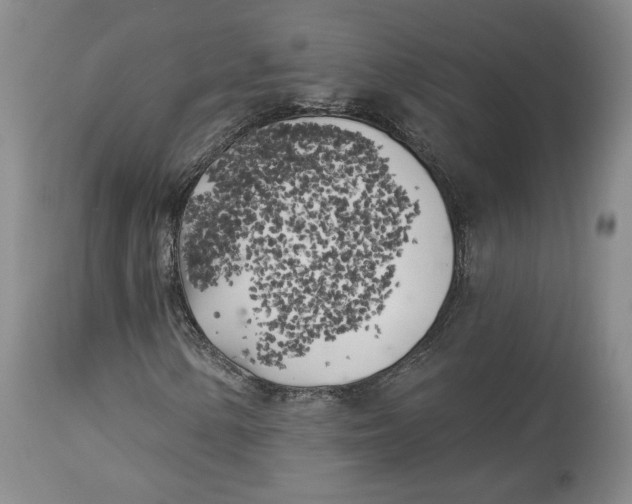 X0000114021154200910231830