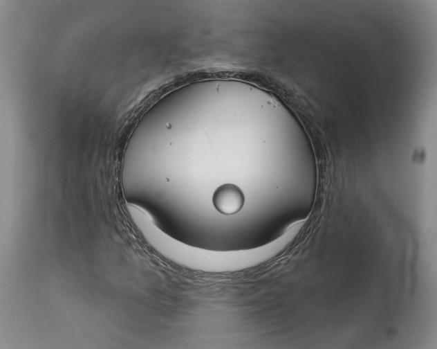 X0000114021157200910231830