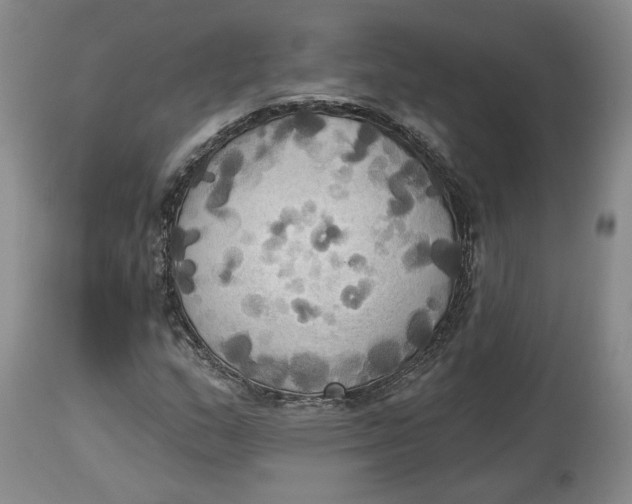 X0000114021159200910231830