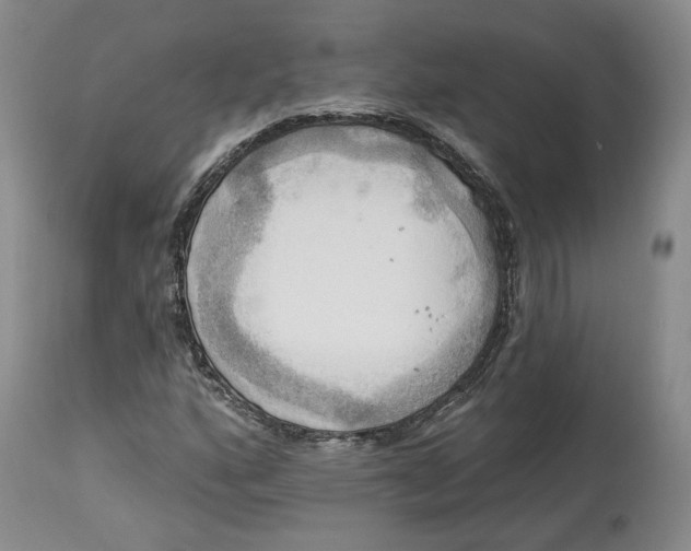 X0000114021160200910231830