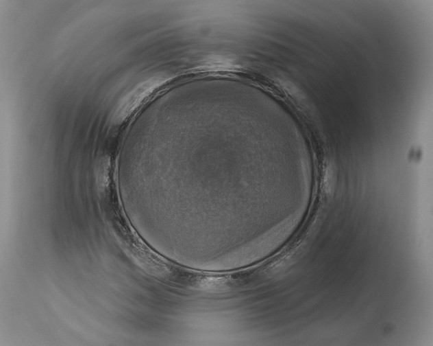 X0000114021161200910231830