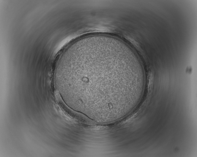 X0000114021163200910231830