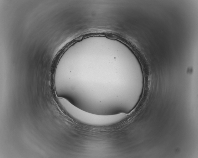 X0000114021165200910231830