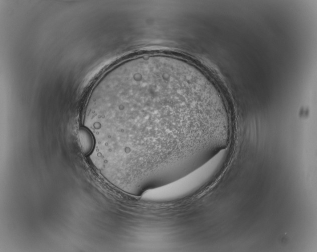 X0000114021167200910231830