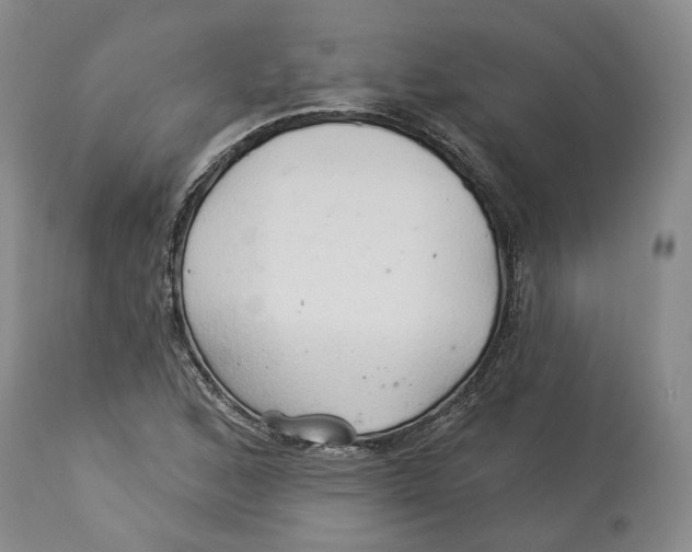 X0000114021168200910231830