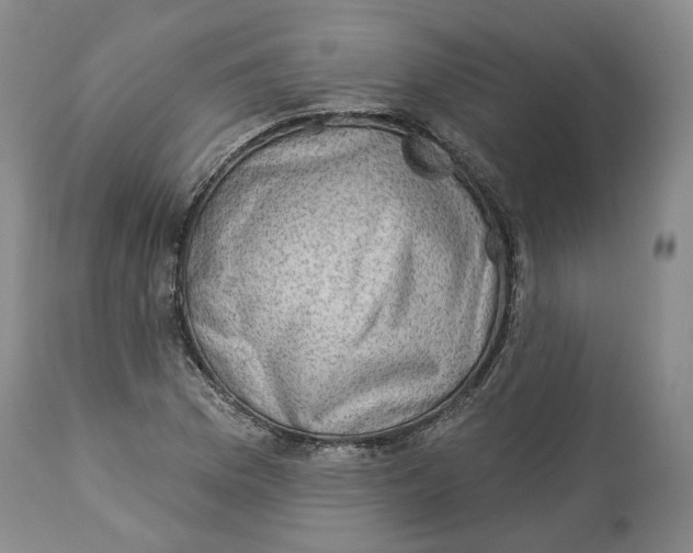 X0000114021169200910231830