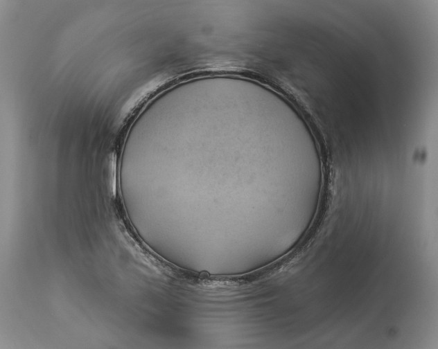 X0000114021171200910231830