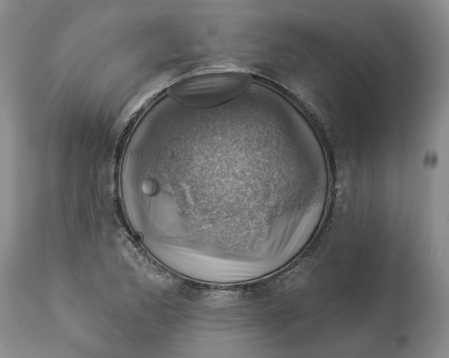 X0000114021173200910231830