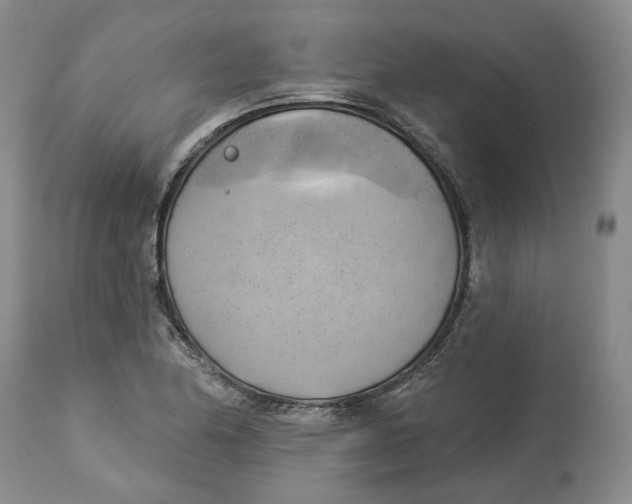 X0000114021174200910231830