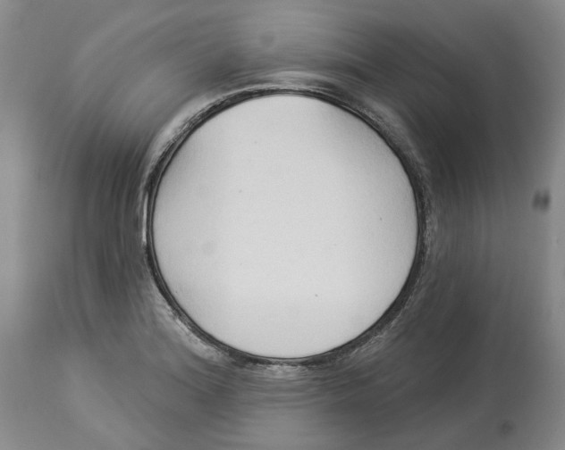 X0000114021180200910231830