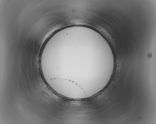 X0000114021182200910231830