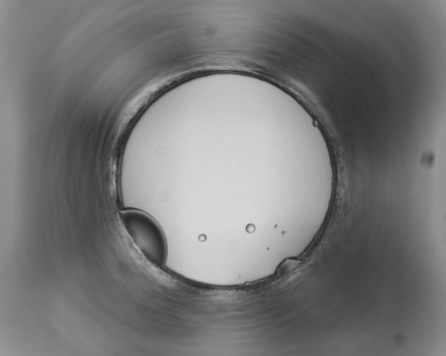 X0000114021188200910231830