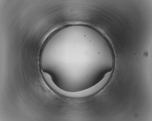 X0000114021189200910231830