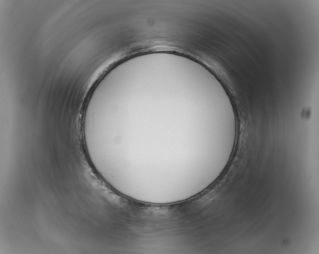 X0000114021190200910231830