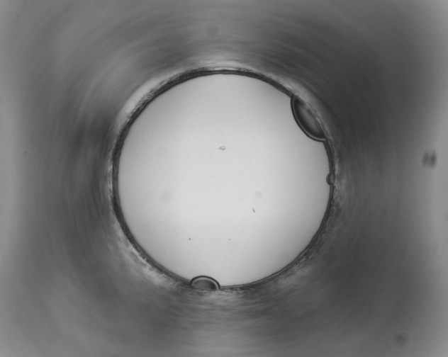 X0000114021191200910231830