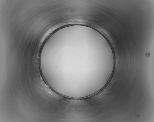 X0000114021192200910231830