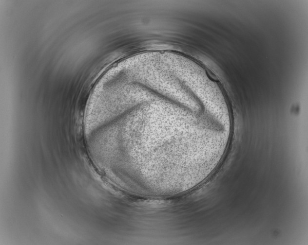 X0000114021193200910231830