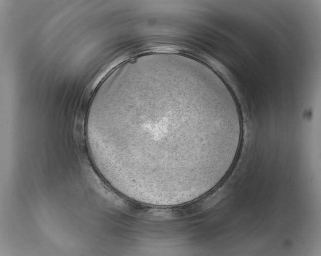 X0000114021194200910231830