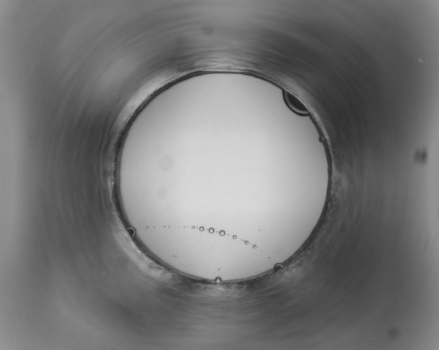 X0000114021195200910231830