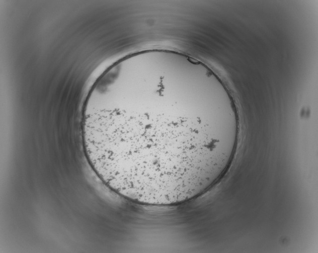 X0000114021200200910231830