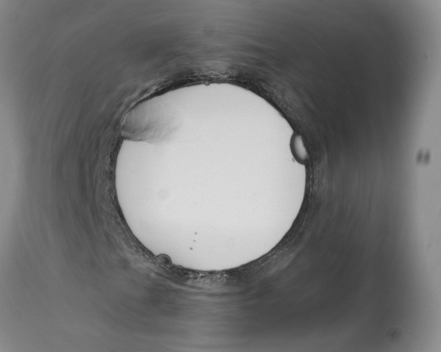 X0000114021201200910231829