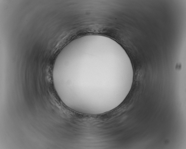 X0000114021202200910231829